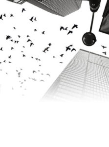 ground images of tall commercial buildings with birds flying