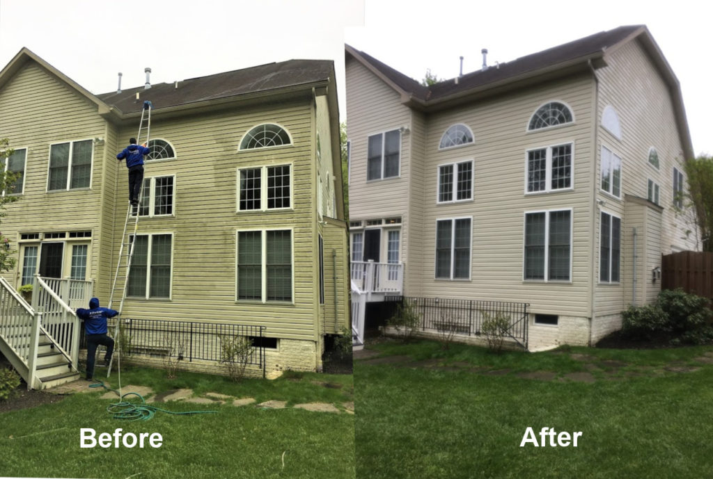 siding before and after cleaning