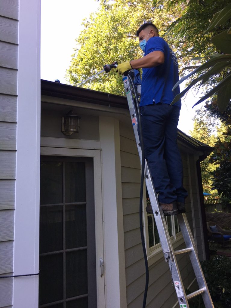 residential roof cleaning