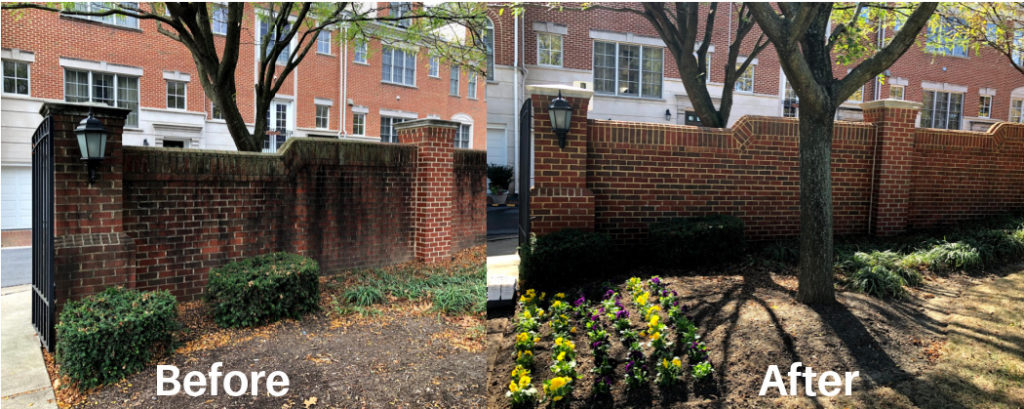 brick wall before and after pressure cleaning